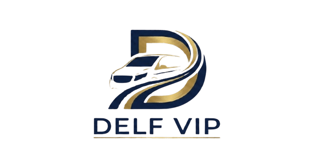 DELF VIP Logo